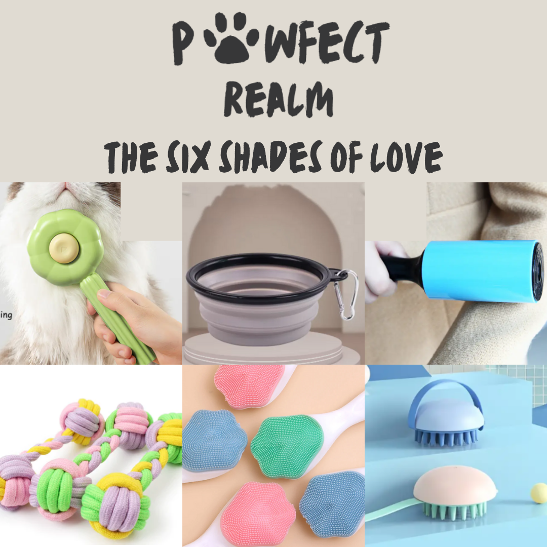 The Pawfection Plus Bundle