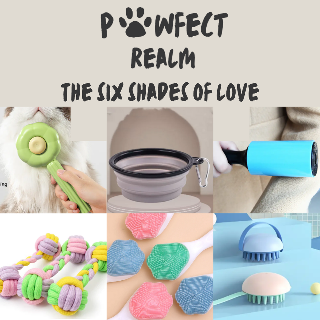 The Pawfection Plus Bundle