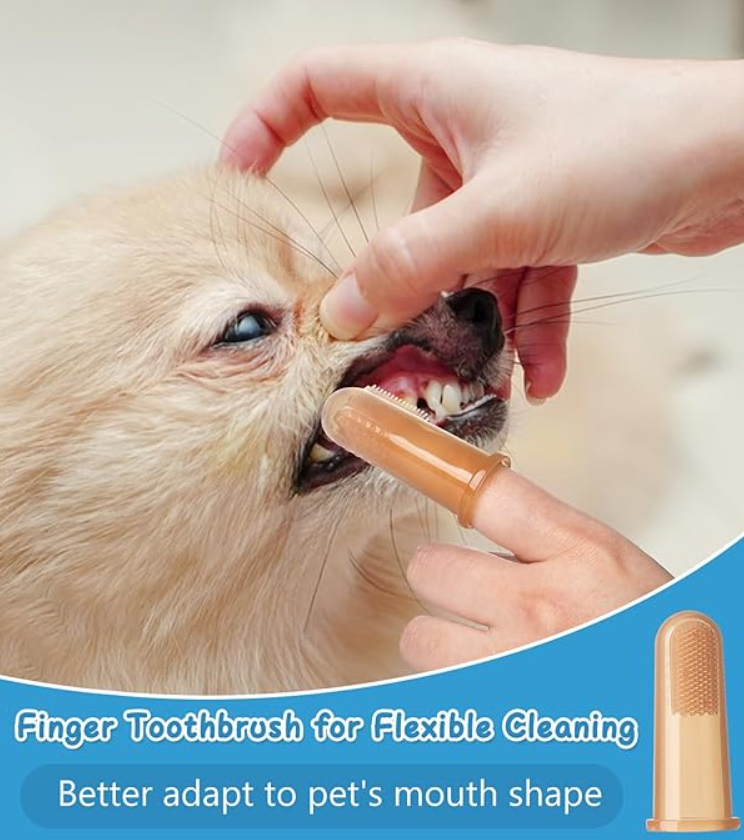 Tiny canine dental care- Nano silicon toothbrush.